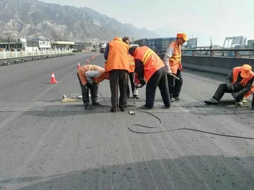 阳谷道路桥梁病害治理